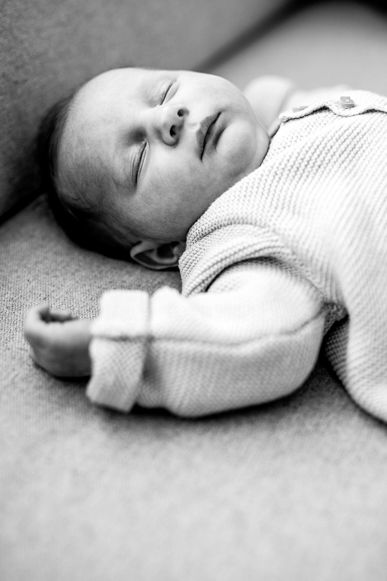 Export x3 1DX28349 Bearbeitet Familienfotoshooting 2019 Hefti 2